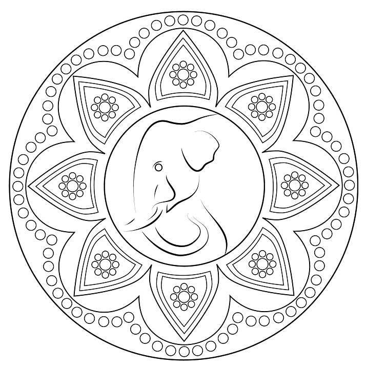 Indian Rangoli with Elephant