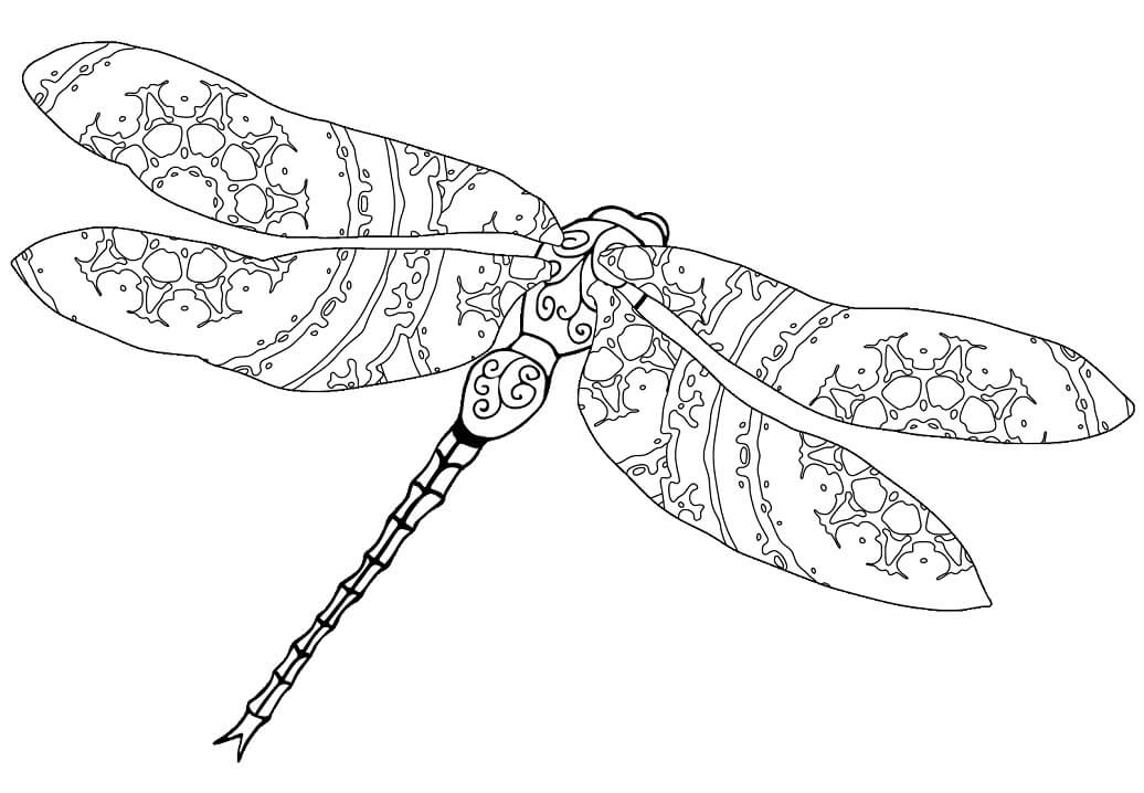 Intricate Dragonfly Coloring Game Intricate Dragonfly