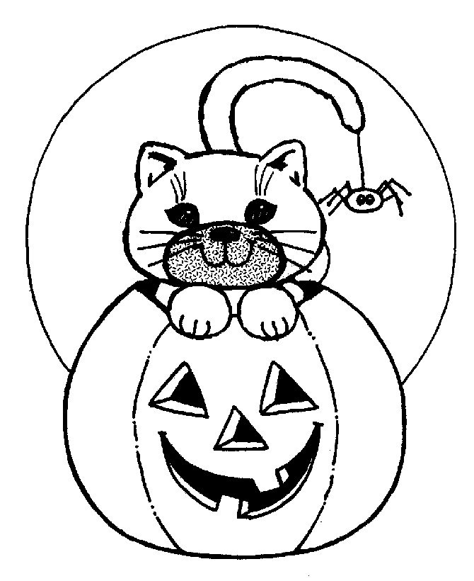 Jack o’ Lantern with cat