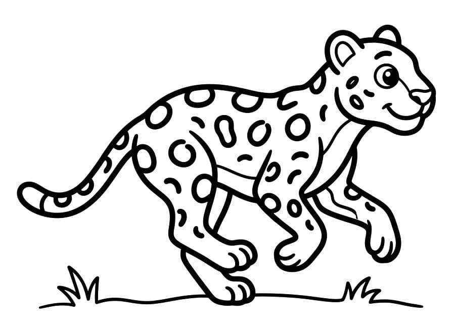 Jaguar Easy