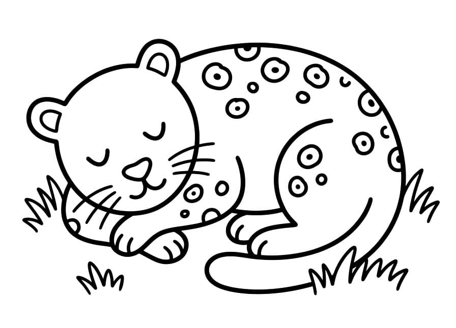 Jaguar Free Printable