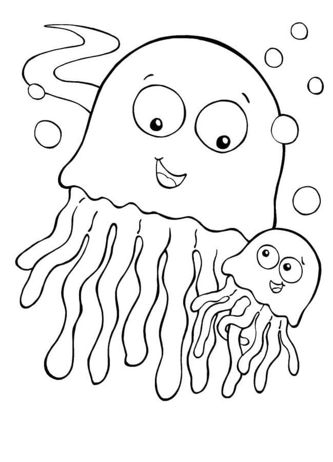 JellyFish Basic
