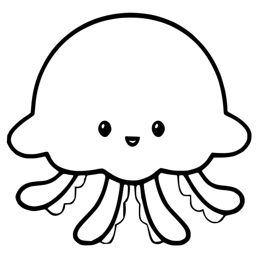 JellyFish Easy