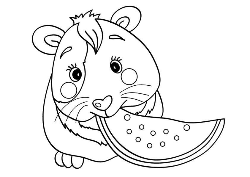 Kawaii Guinea Pig Coloring Game Kawaii Guinea Pig