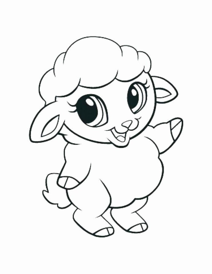 Kawaii Sheep