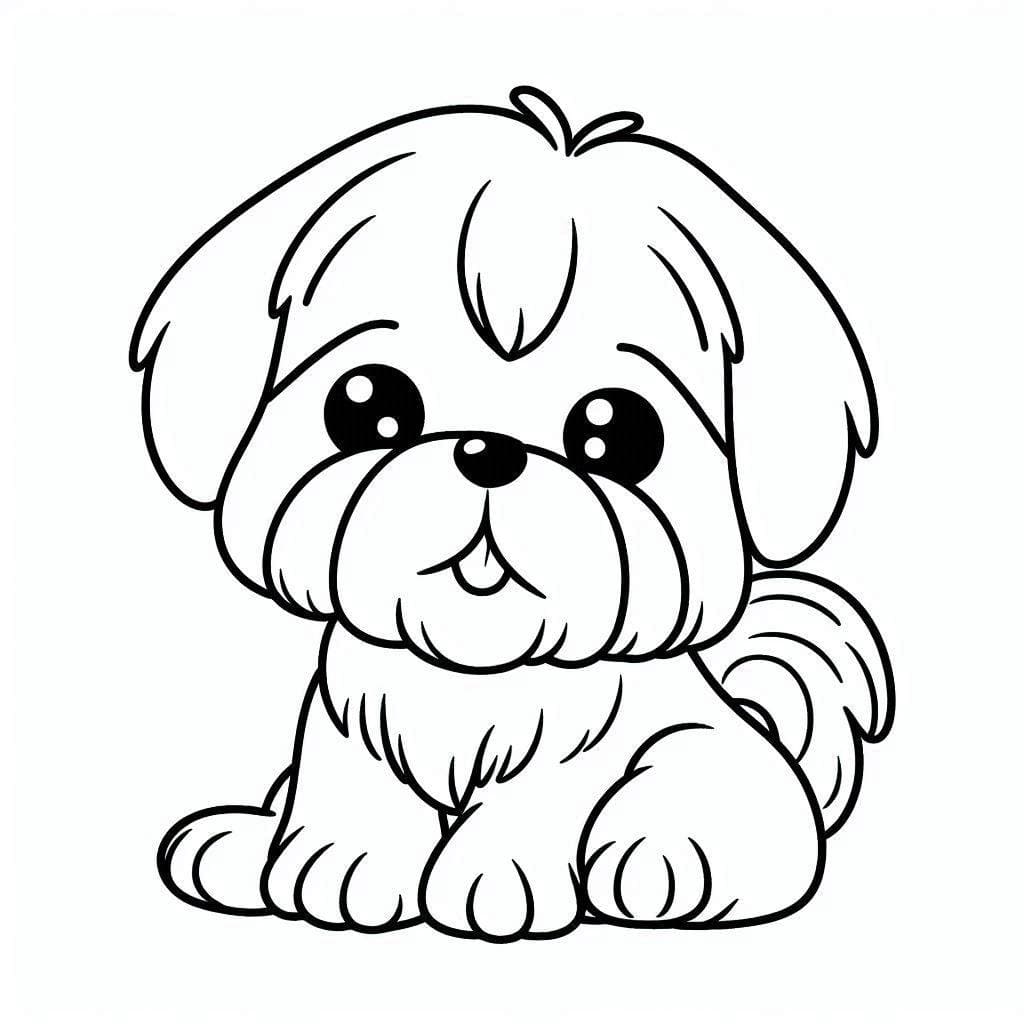 Kawaii Shih Tzu