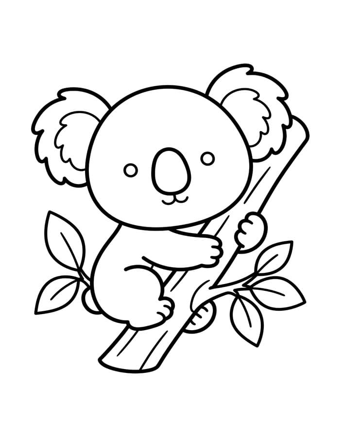 Koala Basic