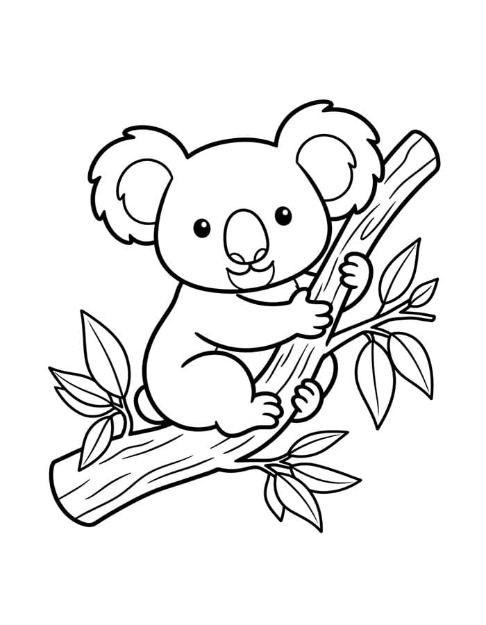 Koala Free