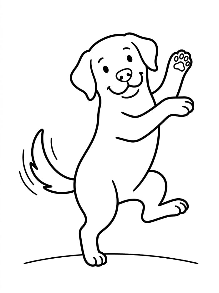 Labrador Dancing
