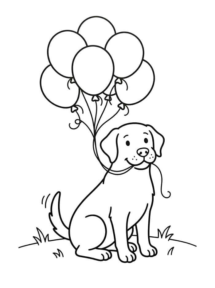 Labrador with Balloons