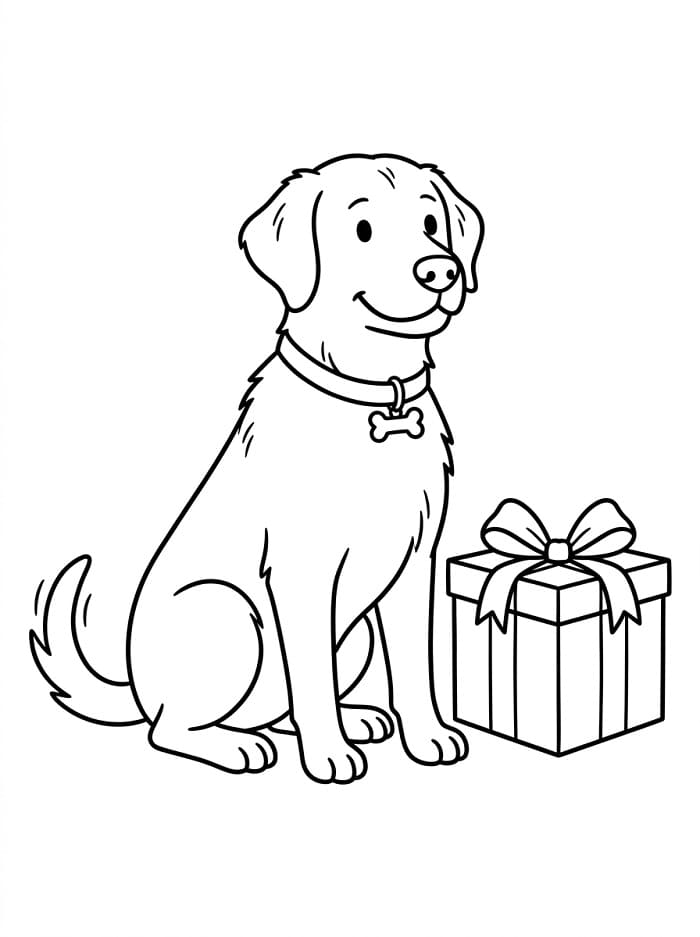 Labrador with Gift