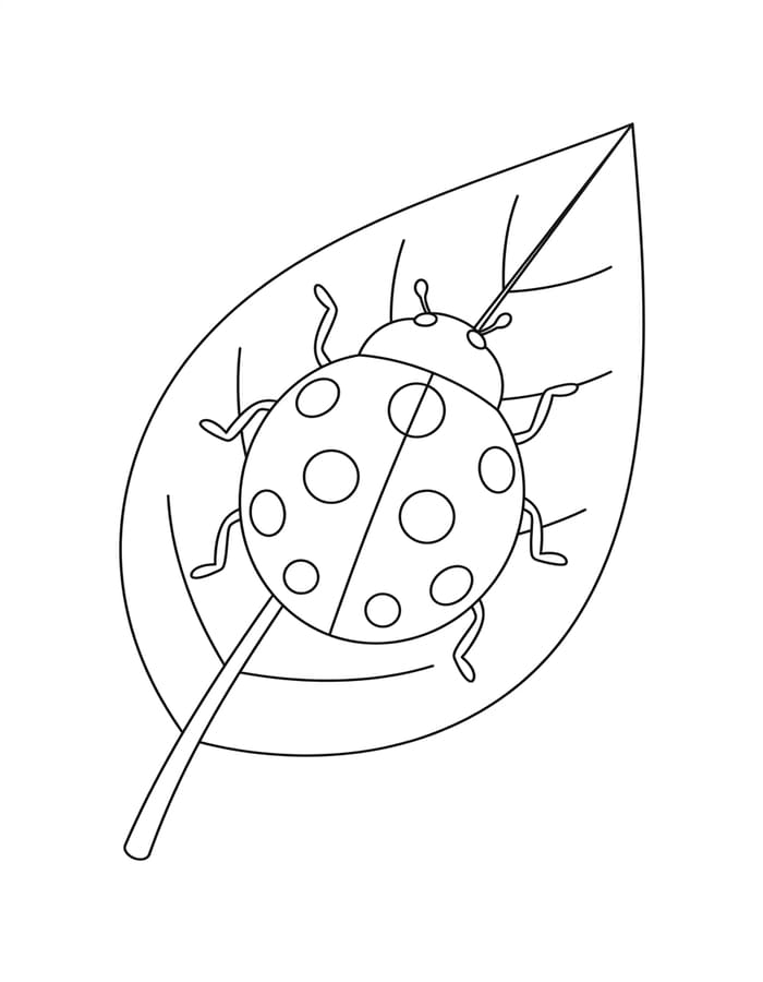 Ladybug Free Printable