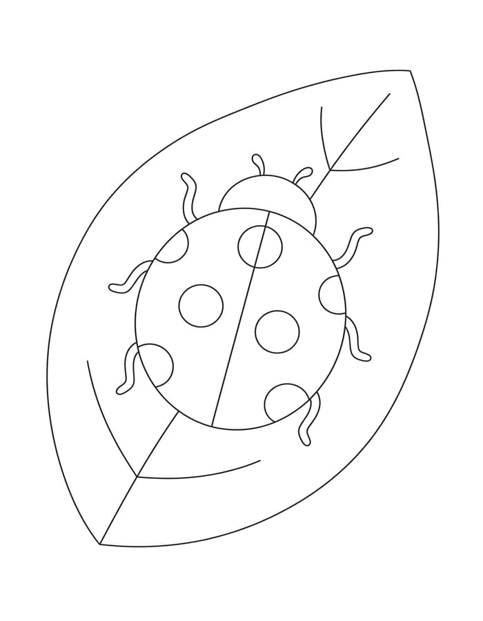 Ladybug Free