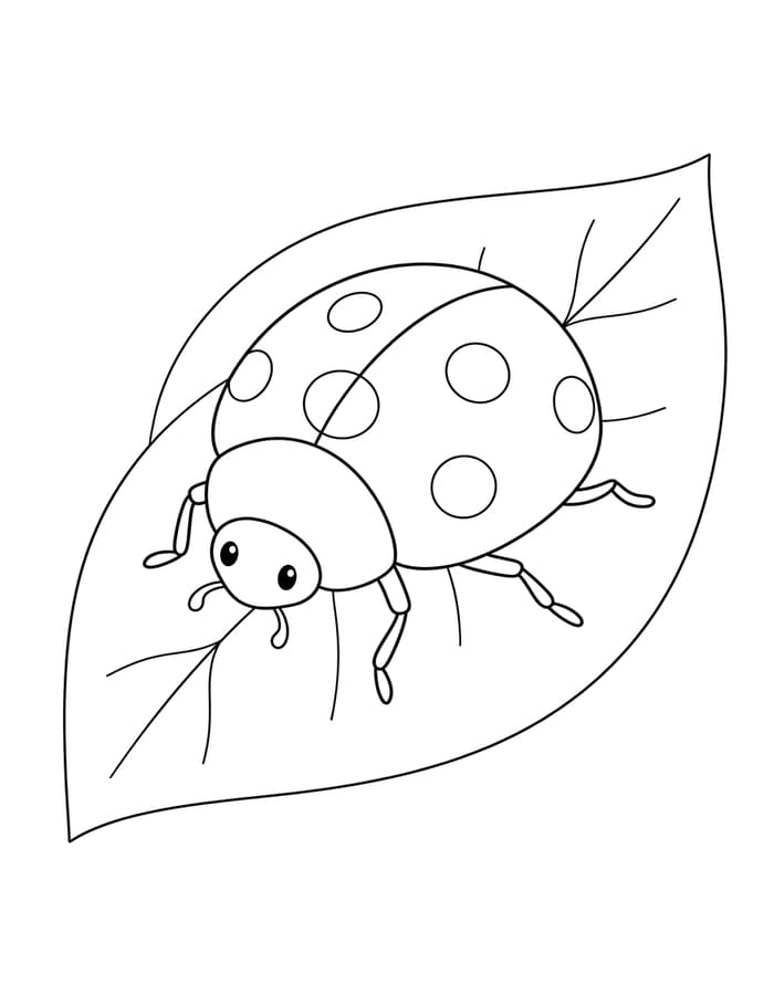 Ladybug Simple