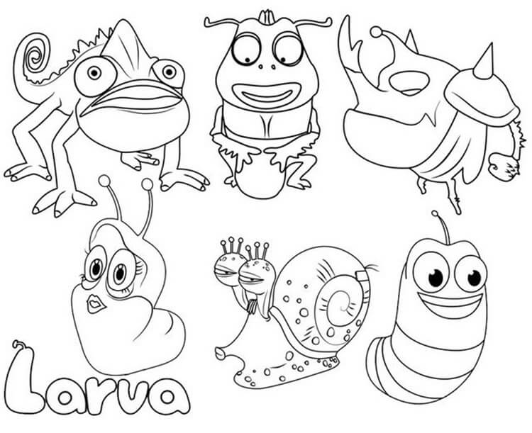 Larva characters