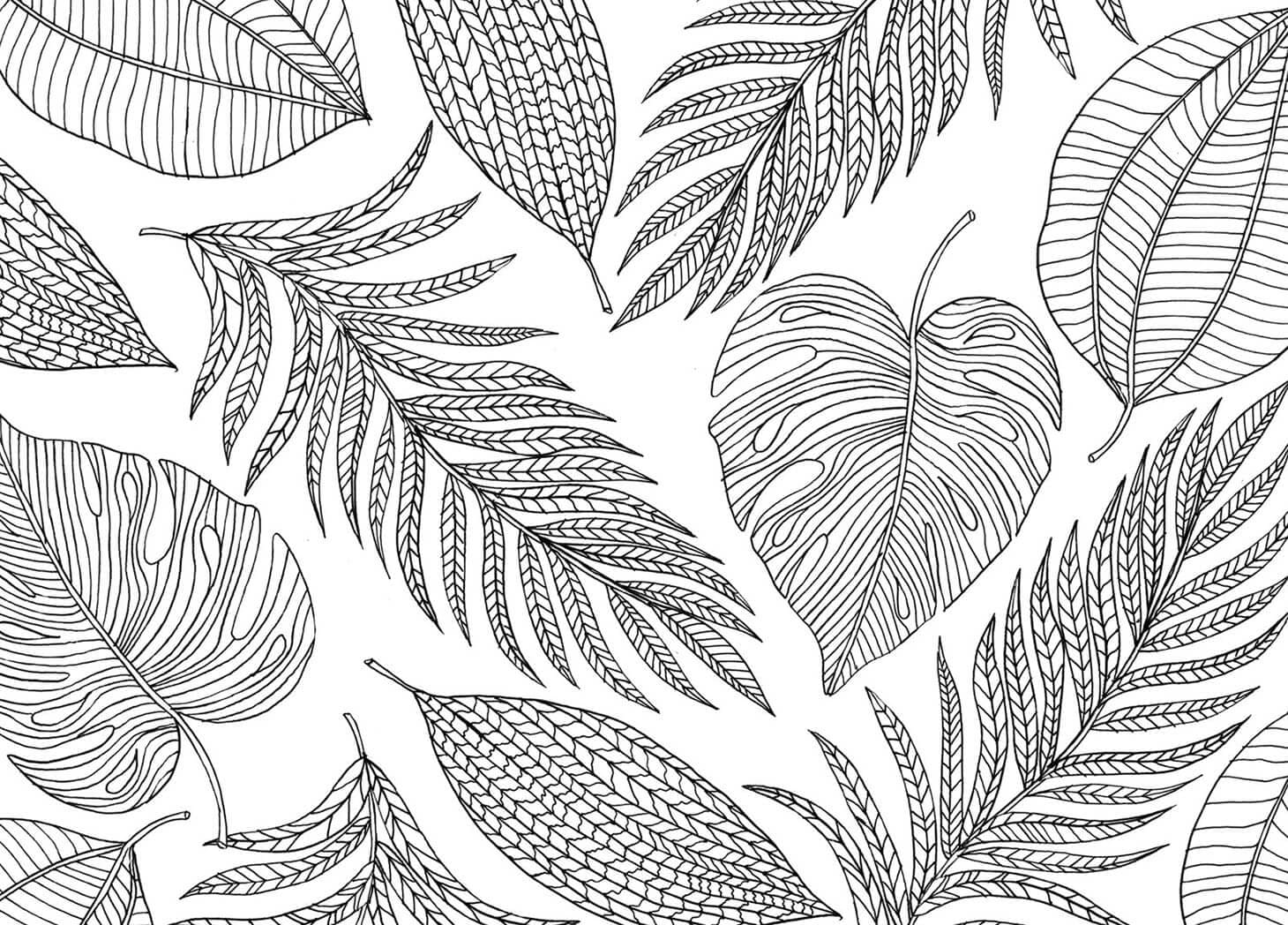 Leaves Mindfulness Coloring Game Leaves Mindfulness