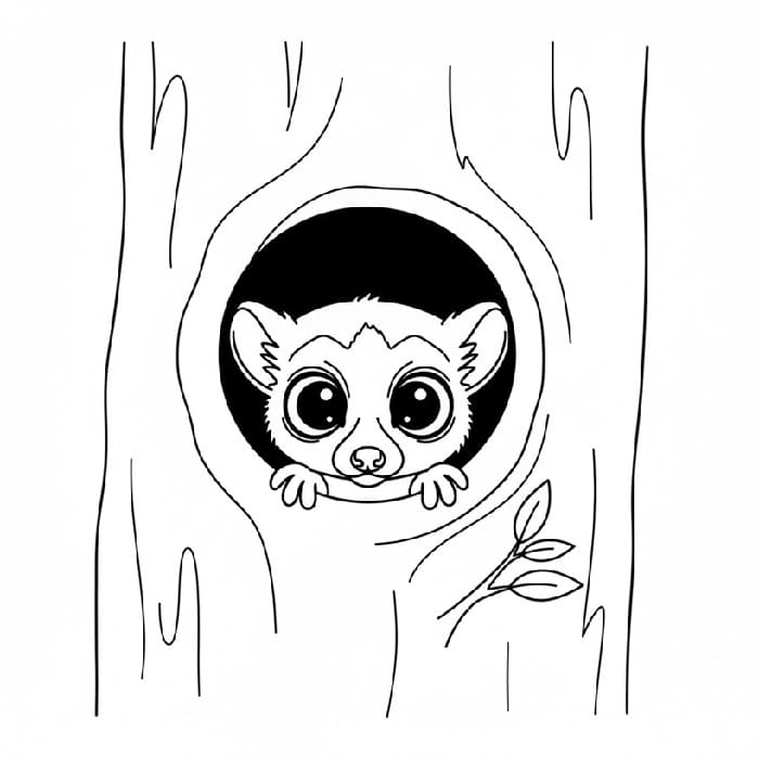 Lemur Hideout