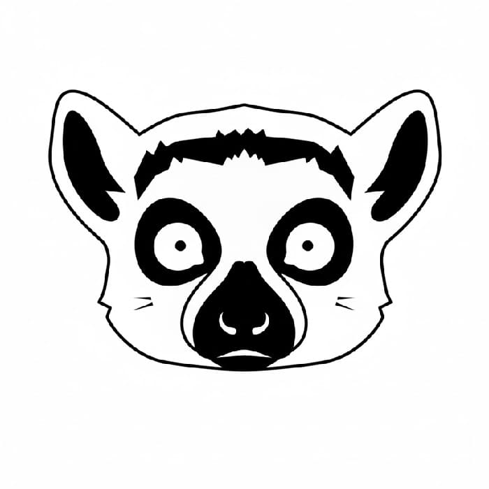 Lemur Pop Art Contrast