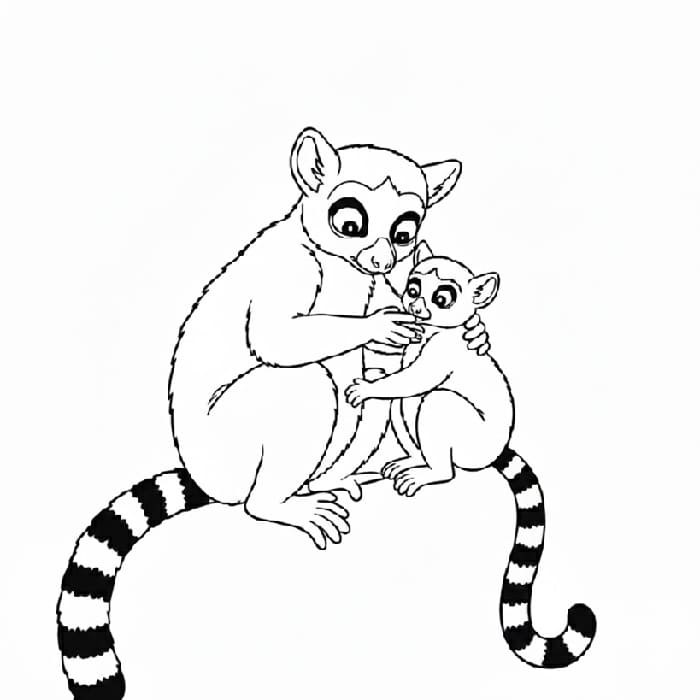 Lemur Treetop Grooming