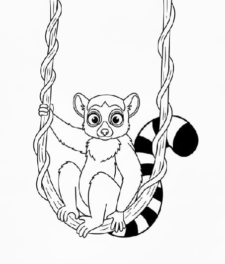 Lemur on a Swing
