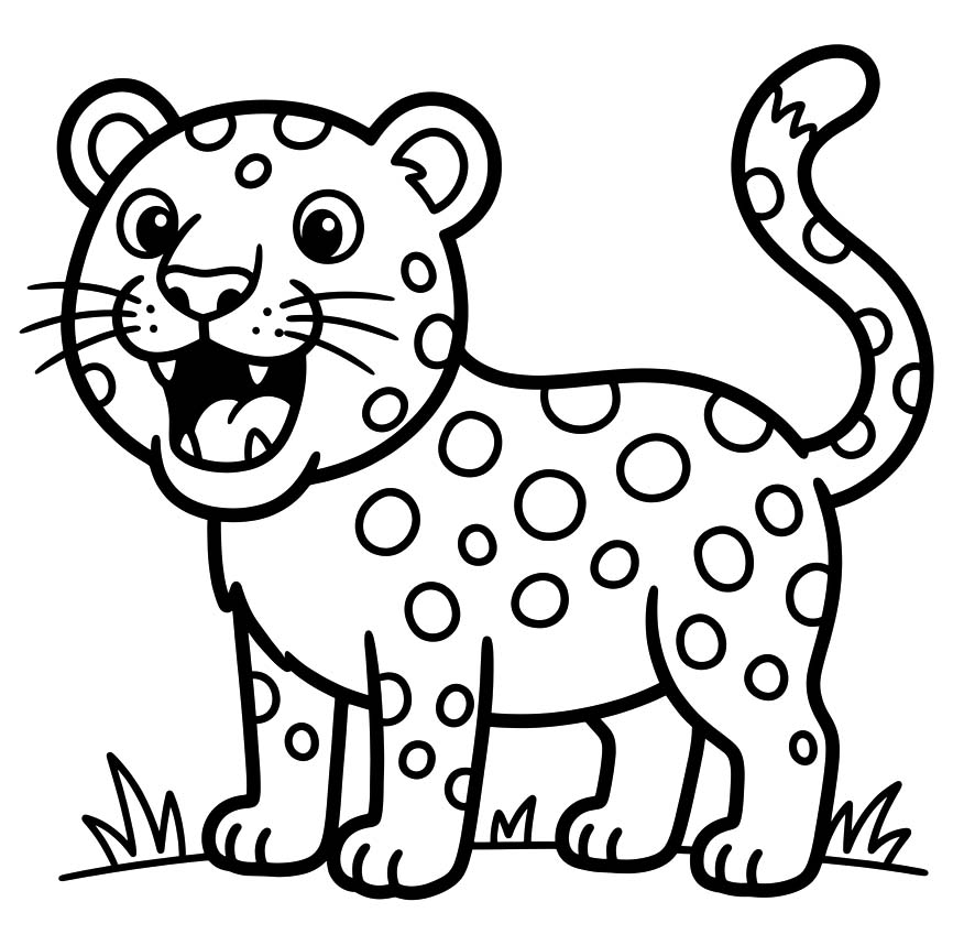Leopard Easy