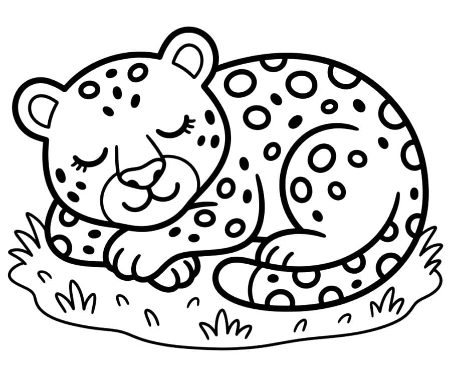 Leopard Free