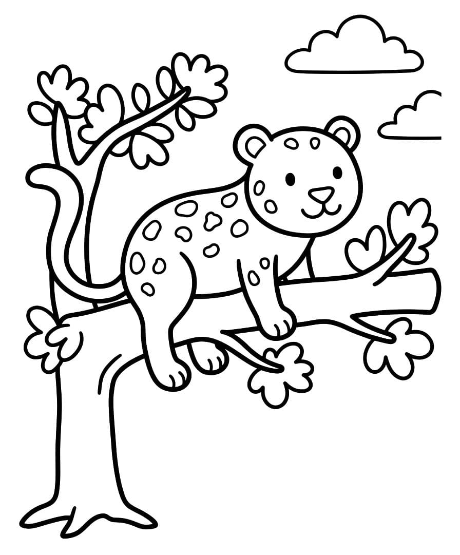 Leopard Simple