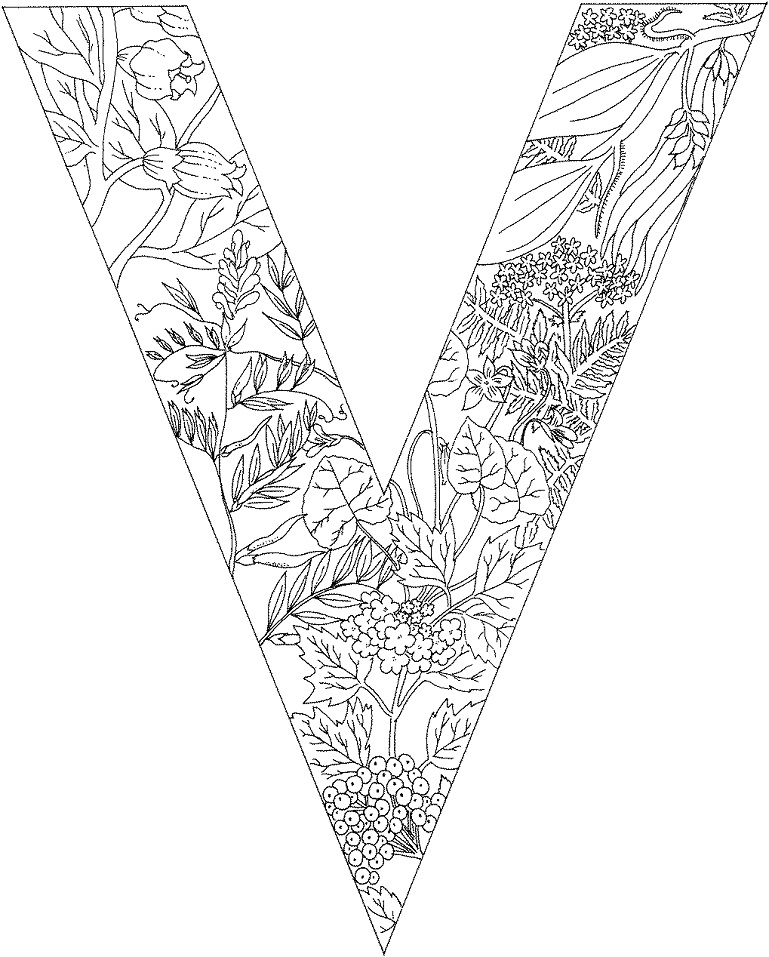 Letter V 3 Coloring - Play Free Coloring Game Online