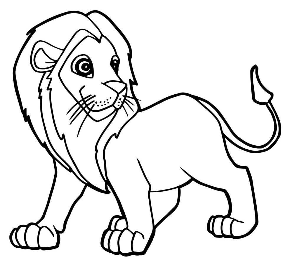 Lion 1