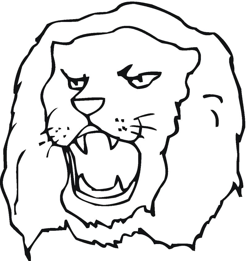 Lion Face