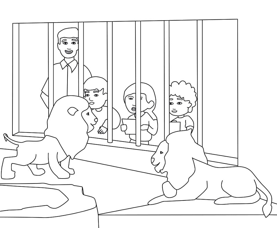 Lions in a Zoo