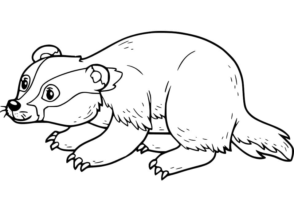 Little Badger Coloring Game Little Badger