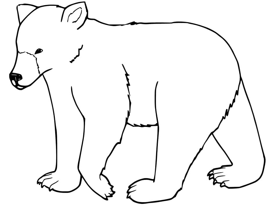 Little Black Bear Coloring Game Little Black Bear