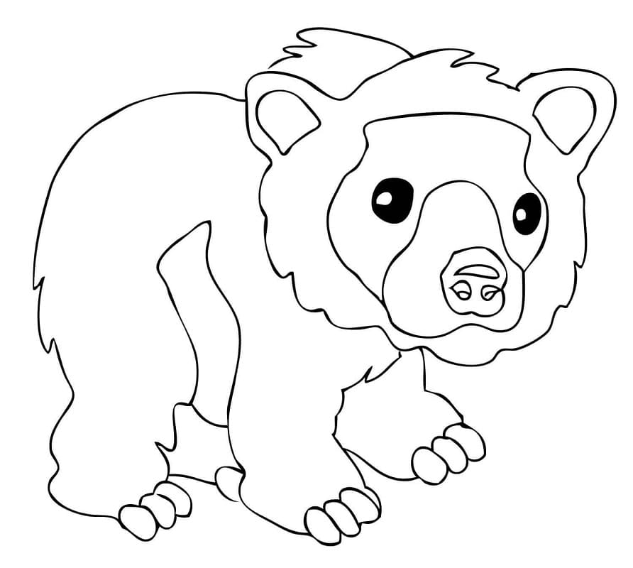 Little Brown Bear Coloring Game Little Brown Bear