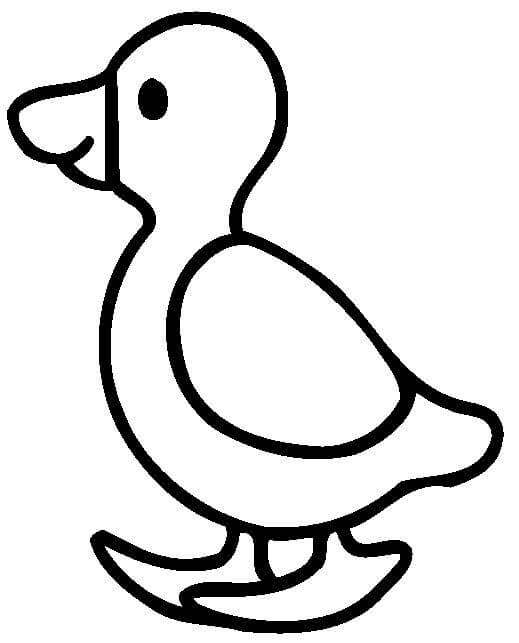 Little Duck for 1 Year Old Kids Coloring Game Little Duck for 1 Year Old Kids