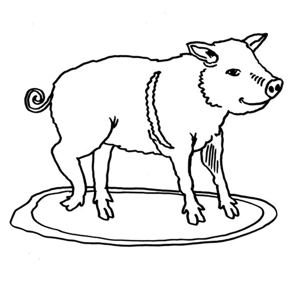 Little Hungry Pig Coloring Game Little Hungry Pig
