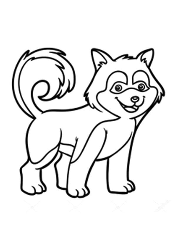 Little Husky Coloring Game Little Husky
