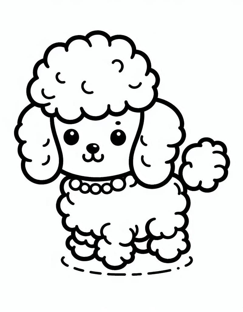 Little Poodle Dog