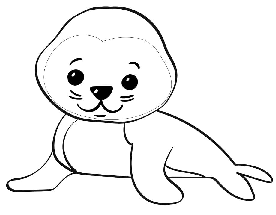 Little Seal