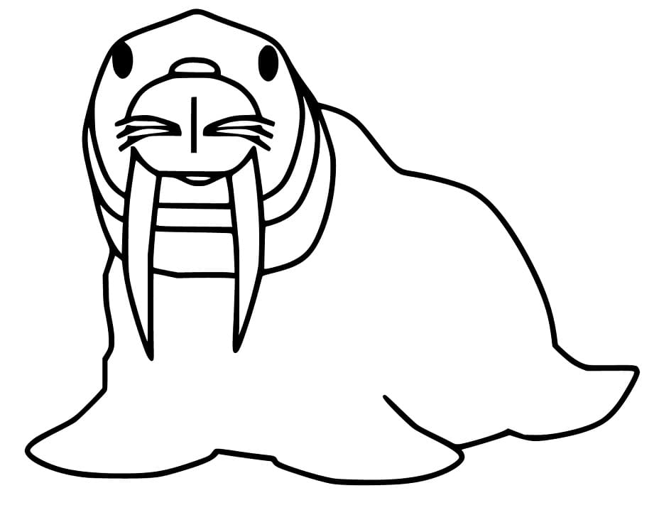 Little Walrus