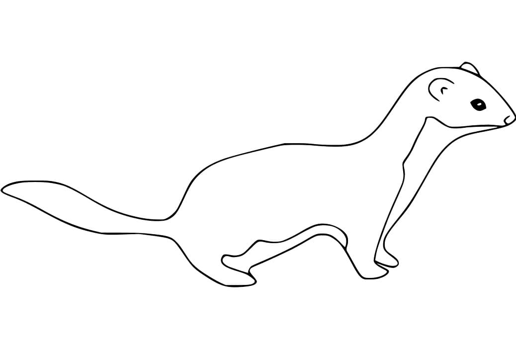 Little Weasel Coloring Game Little Weasel