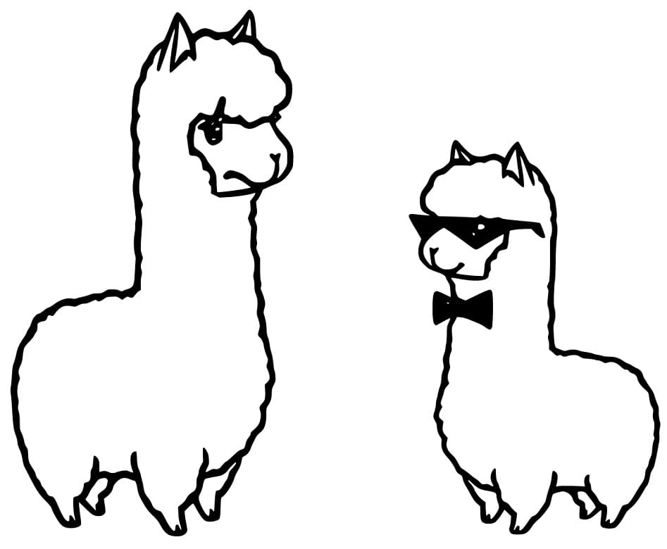 Llama and Alpaca
