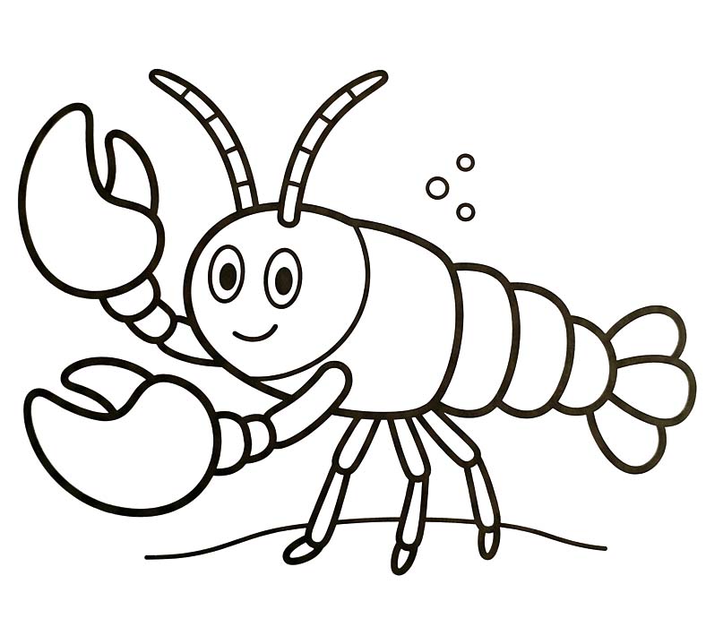 Lobster Basic