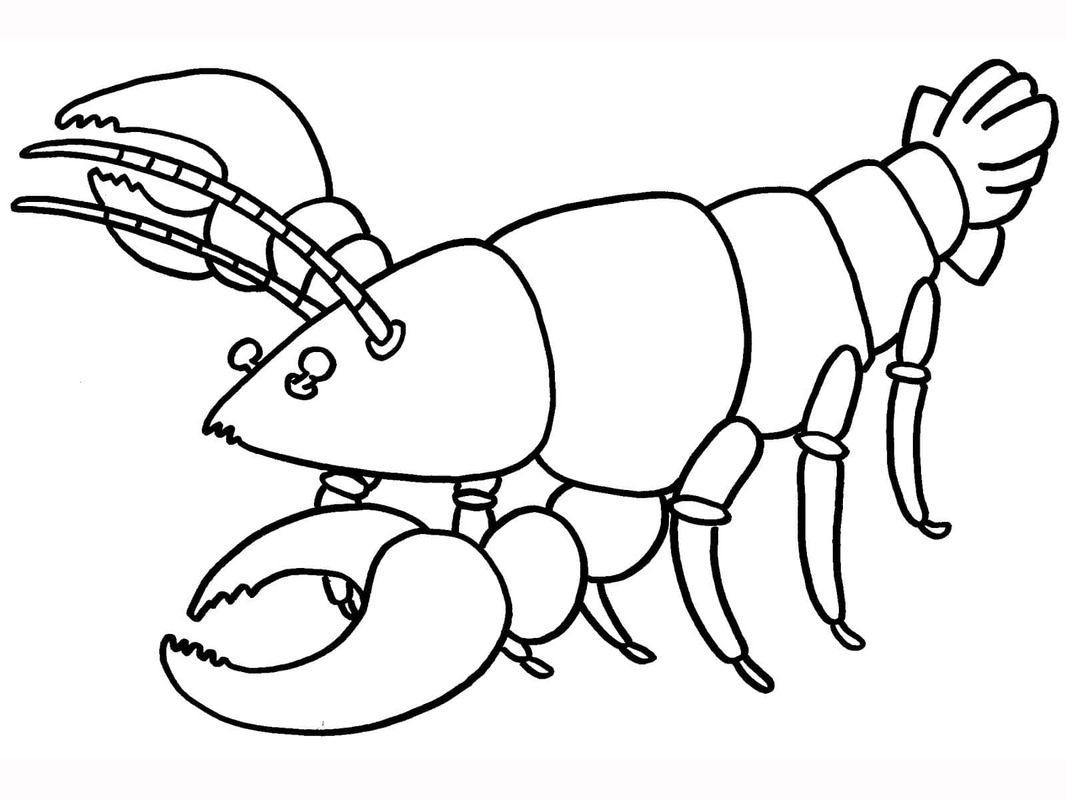 Lobster Easy
