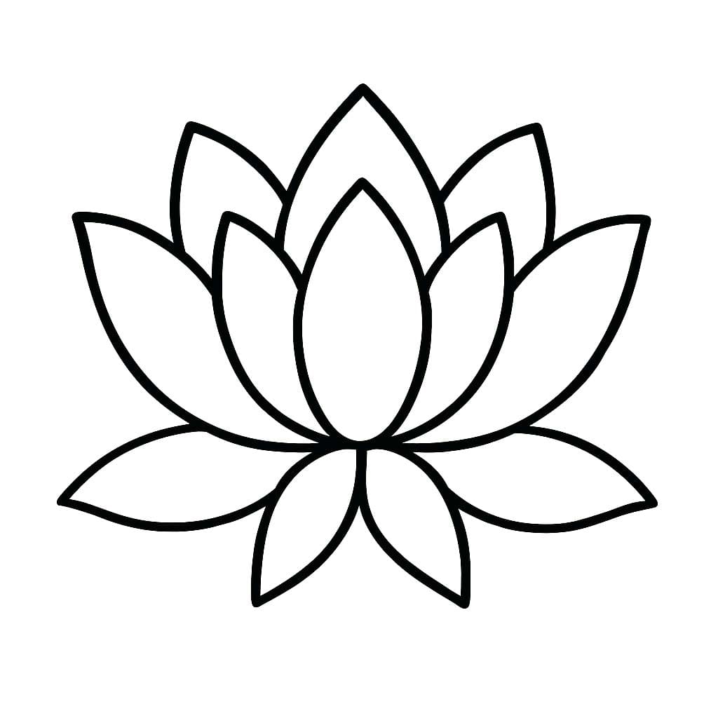 Lotus simple for kids