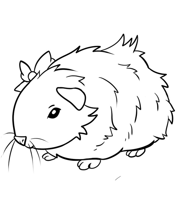 Loveable Guinea Pig Coloring Game Loveable Guinea Pig