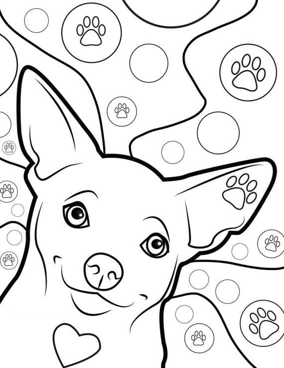 Lovely Chihuahua Dog Coloring Game Lovely Chihuahua Dog