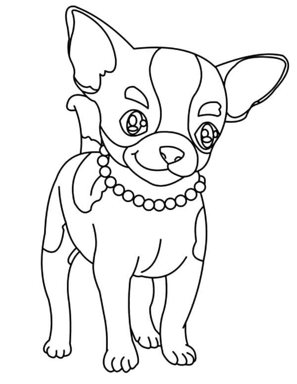 Lovely Chihuahua Coloring Game Lovely Chihuahua