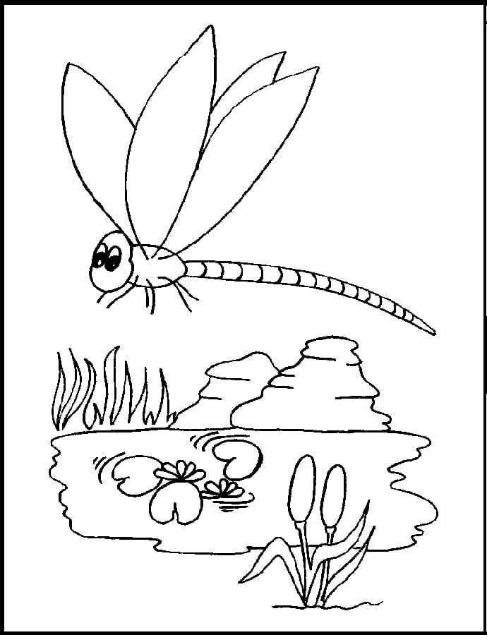 Lovely Dragonfly Coloring Game Lovely Dragonfly