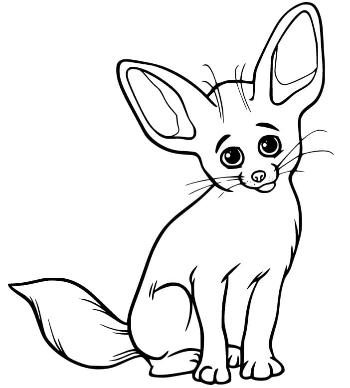 Fennec Fox 3 Coloring - Play Free Coloring Game Online